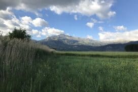 yayla