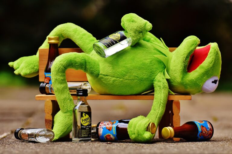 kiemelt_Kermit béka a padon